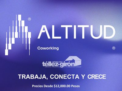 Altitud Presentación TG_page-0010