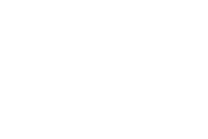 Victara-350