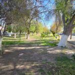 WhatsApp Image 2025-11-28 at 3.45.41 PM