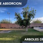 PRESENTA RESIDENCIA CD JUAREZ_page-0015