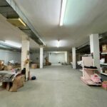 WhatsApp Image 2025-03-03 at 2.33.55 PM (2)