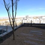 WhatsApp Image 2026-02-13 at 2.05.41 PM (2)