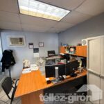 WhatsApp Image 2026-03-20 at 5.32.41 PM (4)