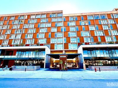 WhatsApp Image 2026-02-13 at 2.05.37 PM