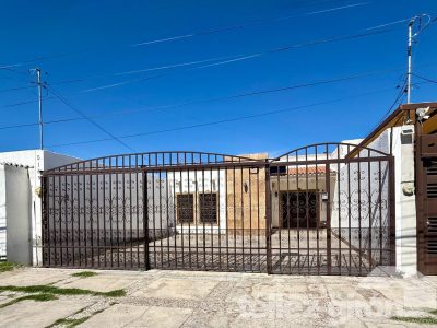 WhatsApp Image 2026-02-26 at 1.27.23 PM