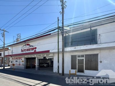 WhatsApp Image 2026-03-20 at 5.32.41 PM (6)